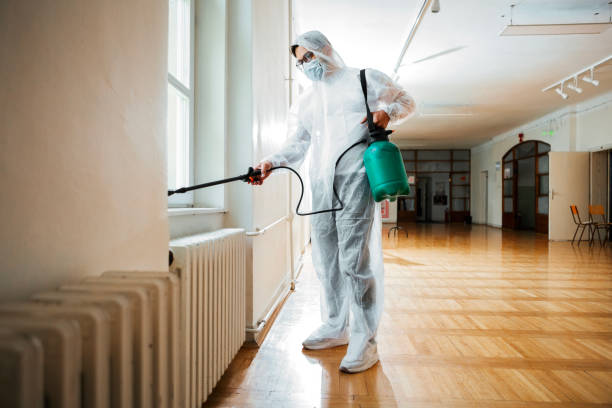 Best Pest Prevention Services  in Dekal, IL